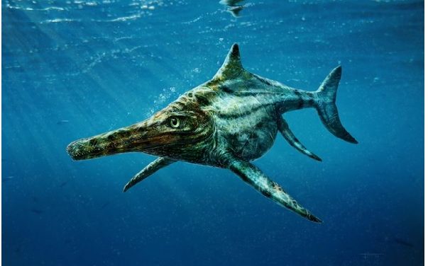 Ittiosauri, il mistero dei sauri marini