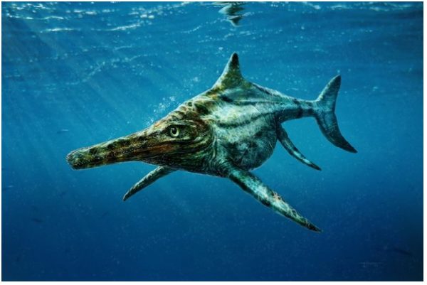 Ittiosauri, il mistero dei sauri marini