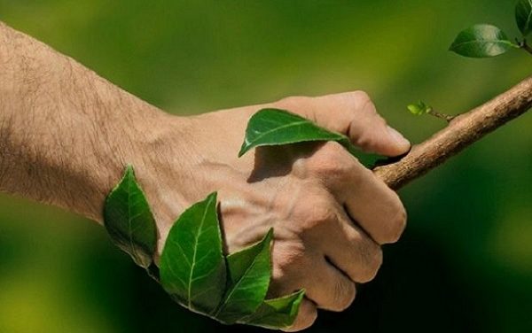 Giornata Mondiale dell’Ambiente:  un impegno che deve durare tutto l’anno