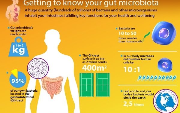 Il microbiota umano, la simbiosi perfetta